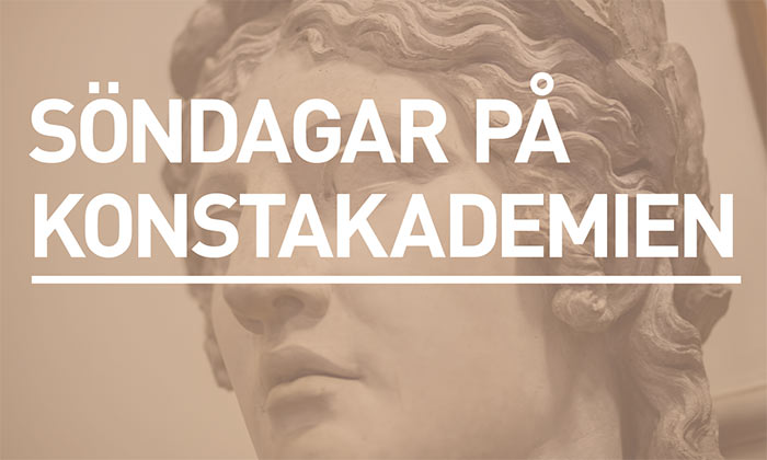 sondagar_pa_akademien